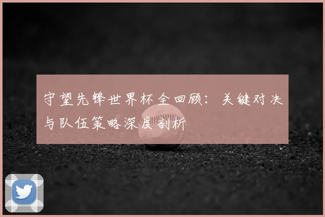 守望先锋世界杯全回顾：关键对决与队伍策略深度剖析