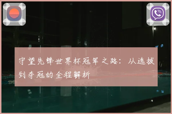 守望先锋世界杯冠军之路：从选拔到夺冠的全程解析