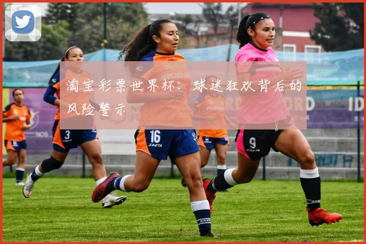 淘宝彩票世界杯：球迷狂欢背后的风险警示