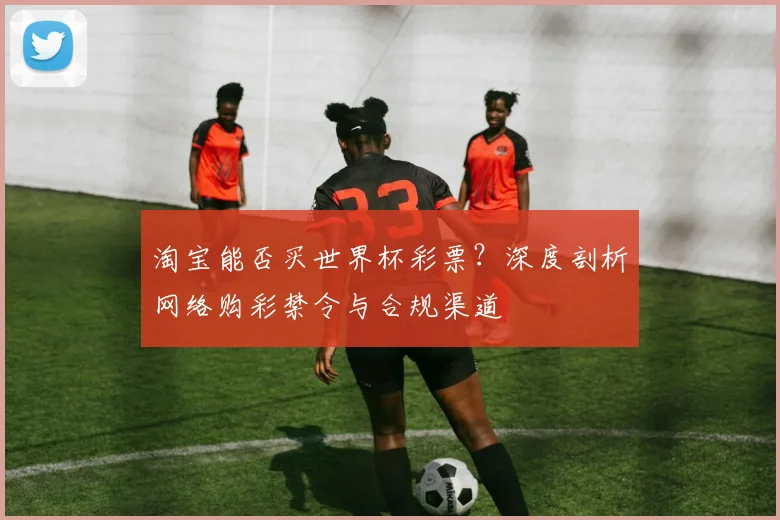 淘宝能否买世界杯彩票？深度剖析网络购彩禁令与合规渠道