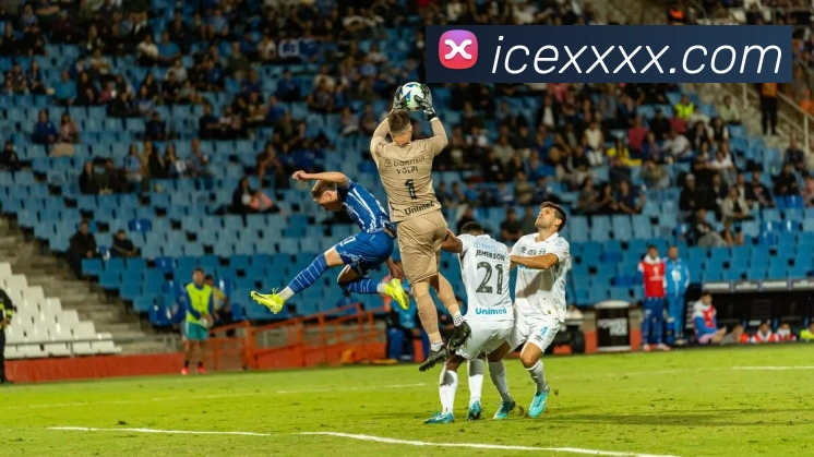 kaiyun.com.cn品牌故事