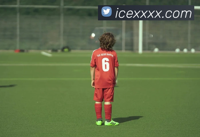 kaiyun.com.cn服务体系